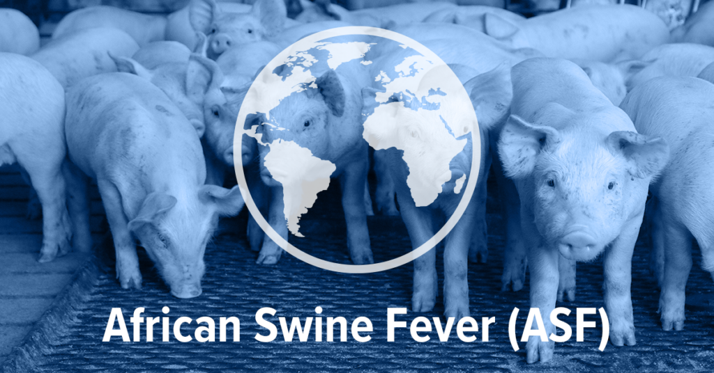African Swine Fever virus continues to spead around the world.
