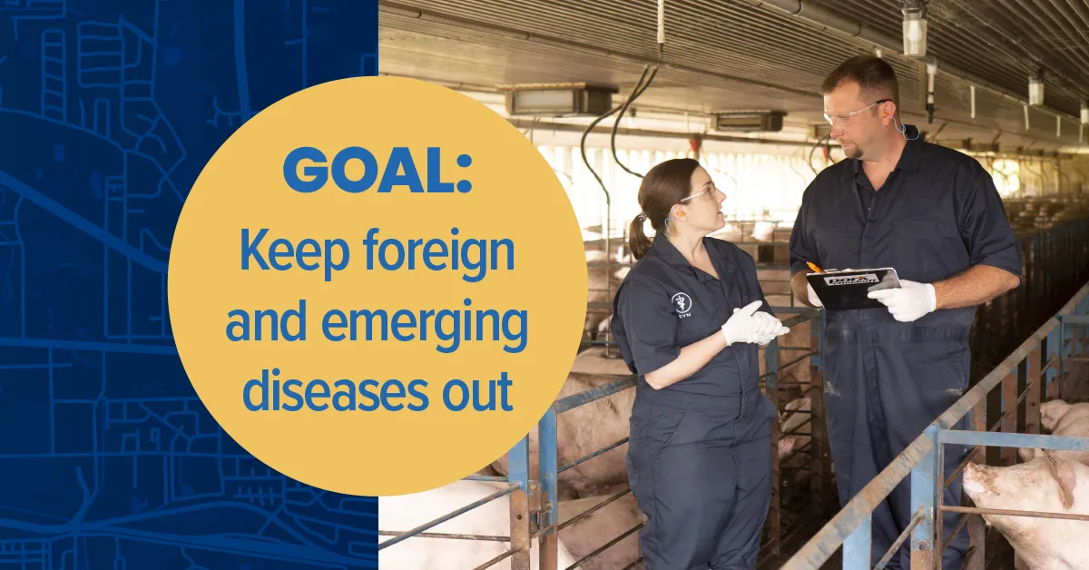 National Swine Health strategy goal 2 and vets talking
