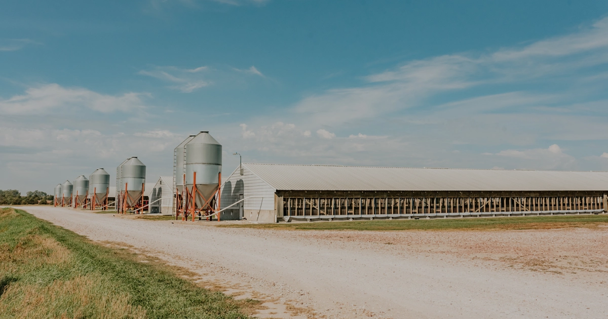 Pillen family farm - Ridgetop finisher barn